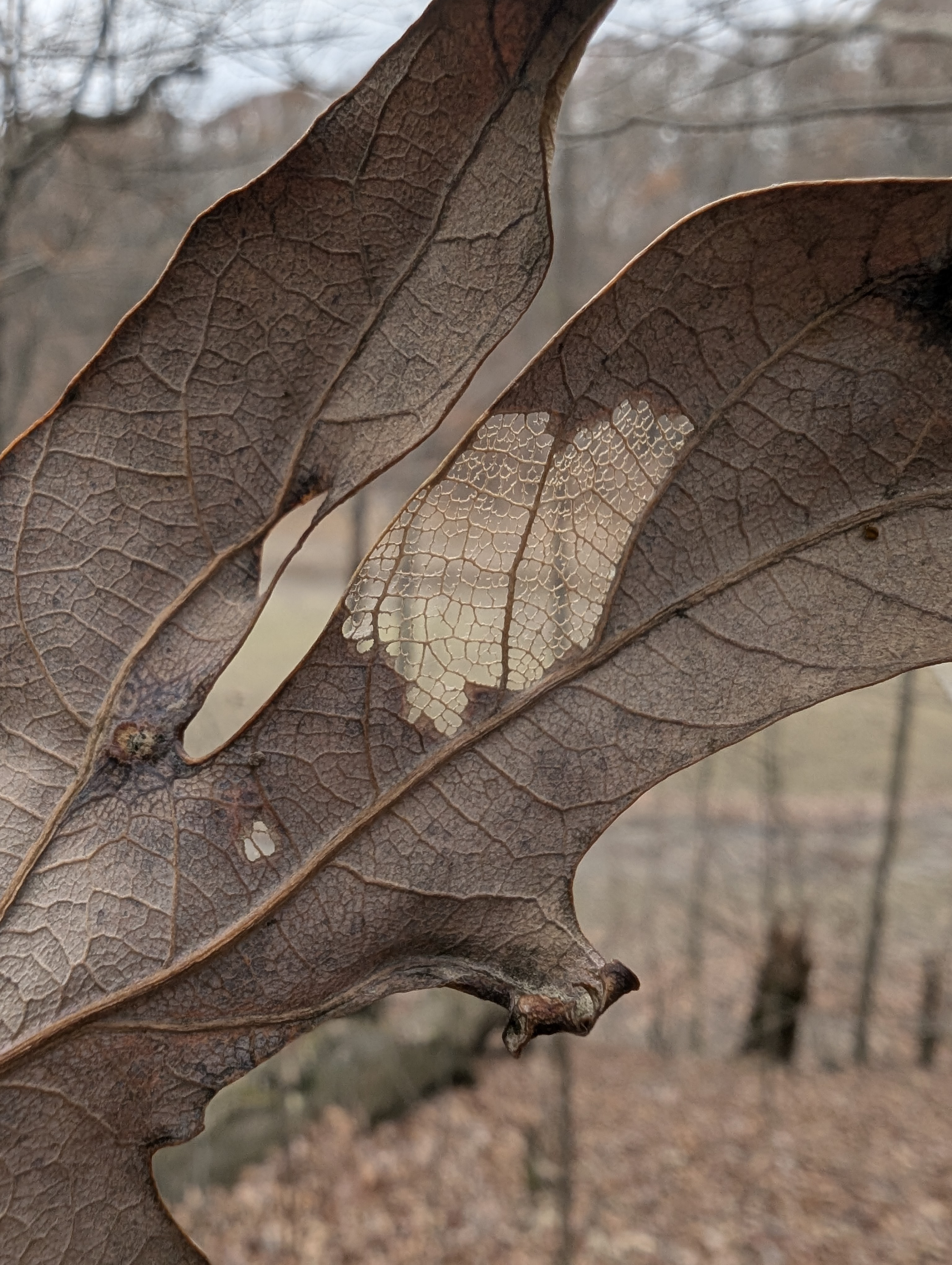 my first photo from that day