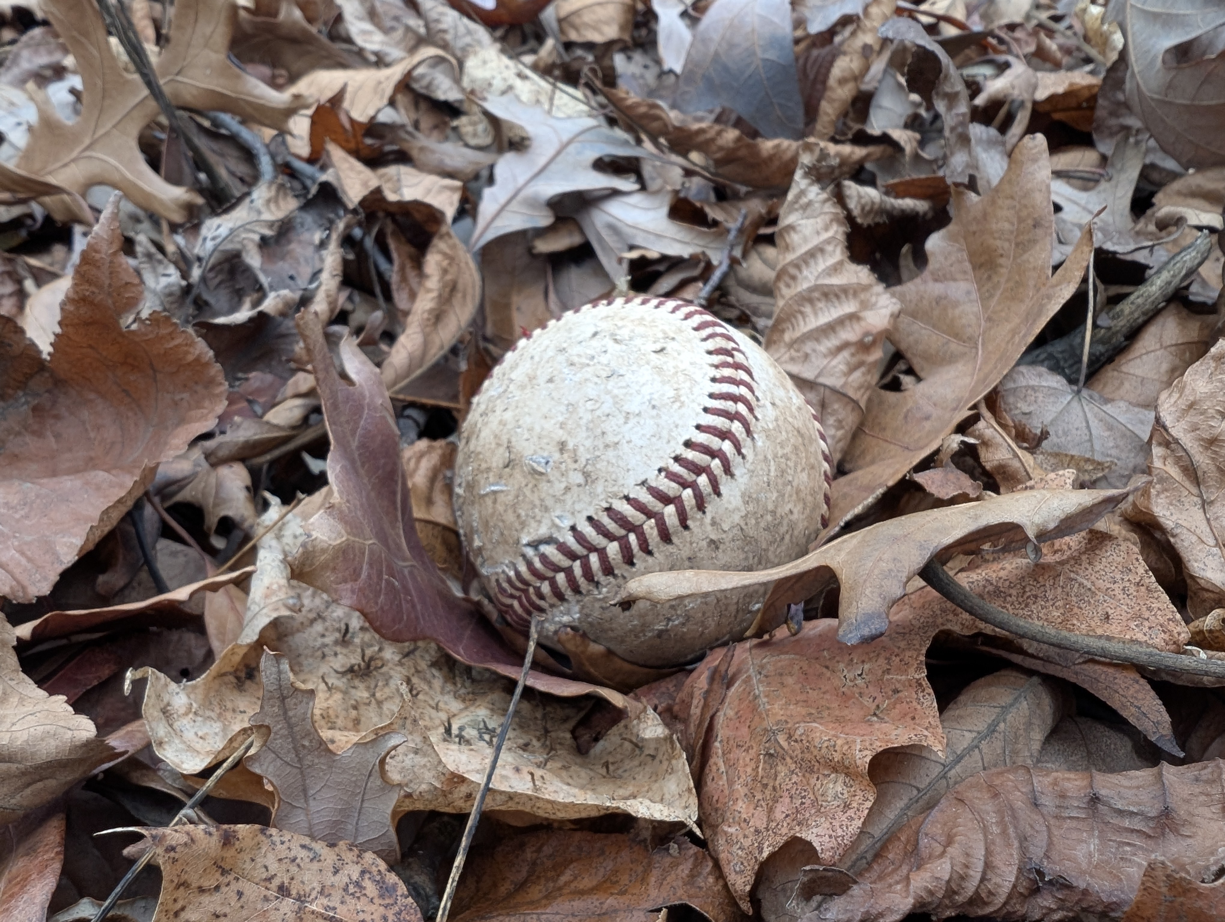 an abandoned baseball, left to rot