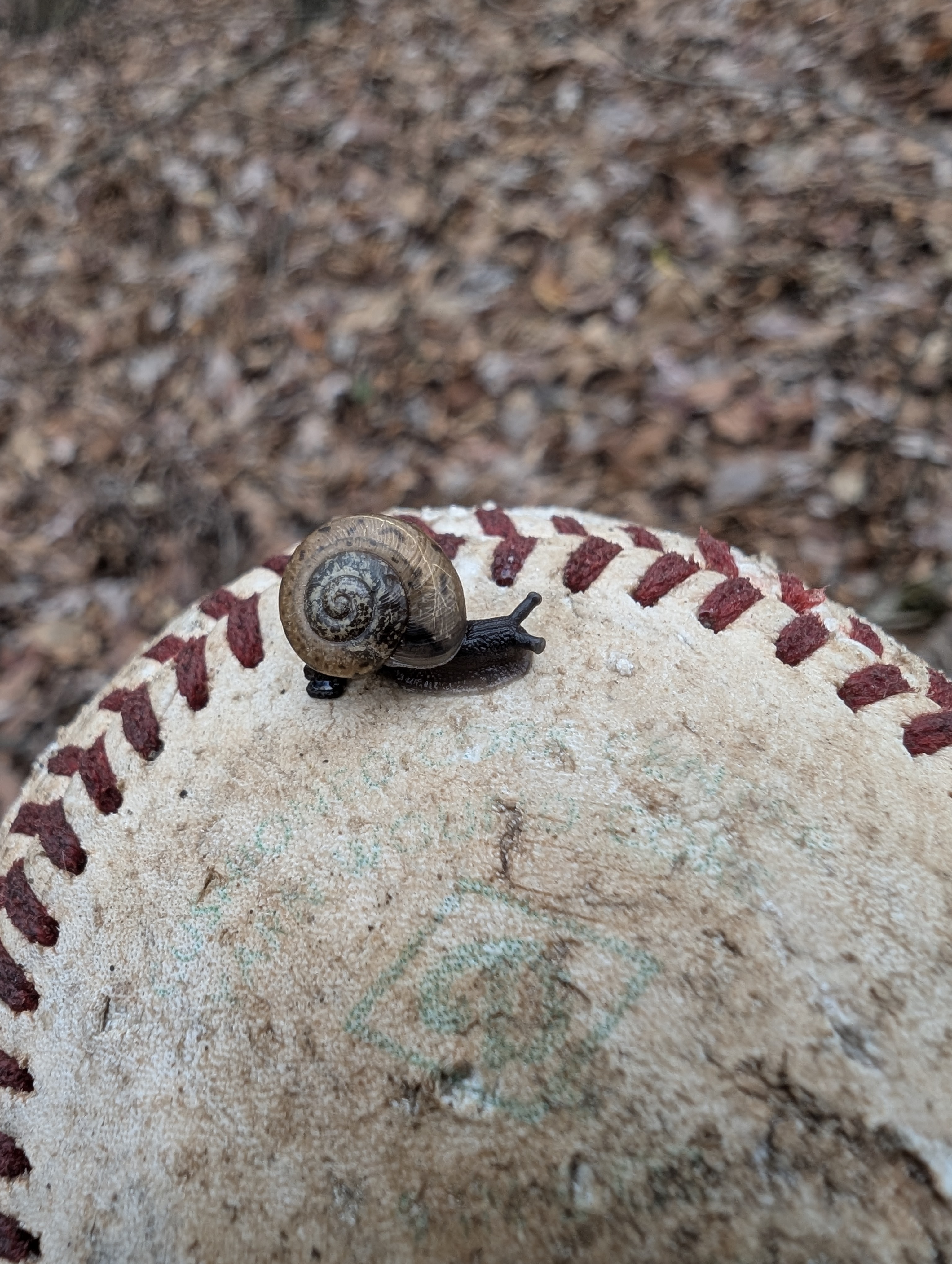 maybe… not quite so abandoned?