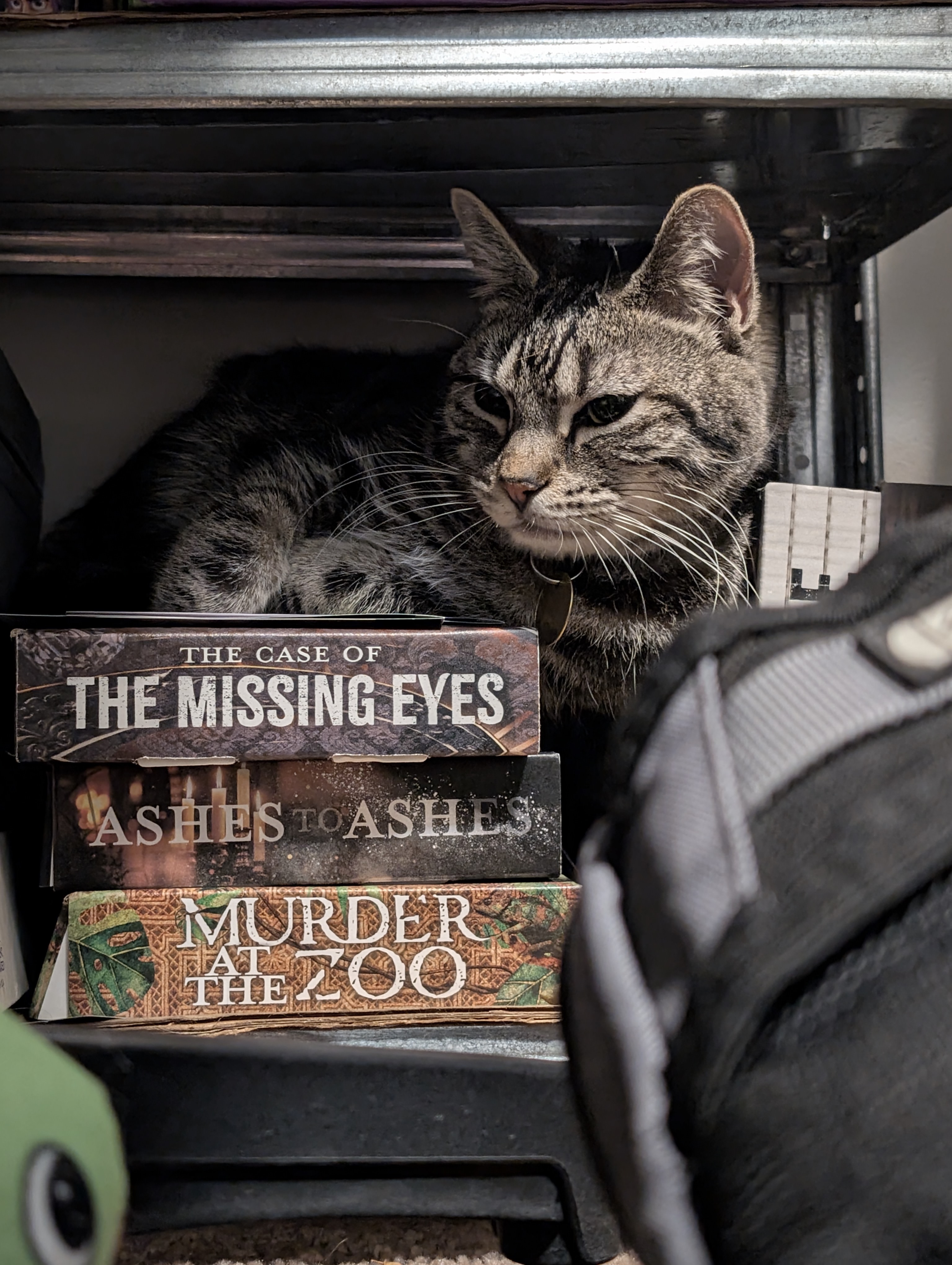 our sweet buttery boy