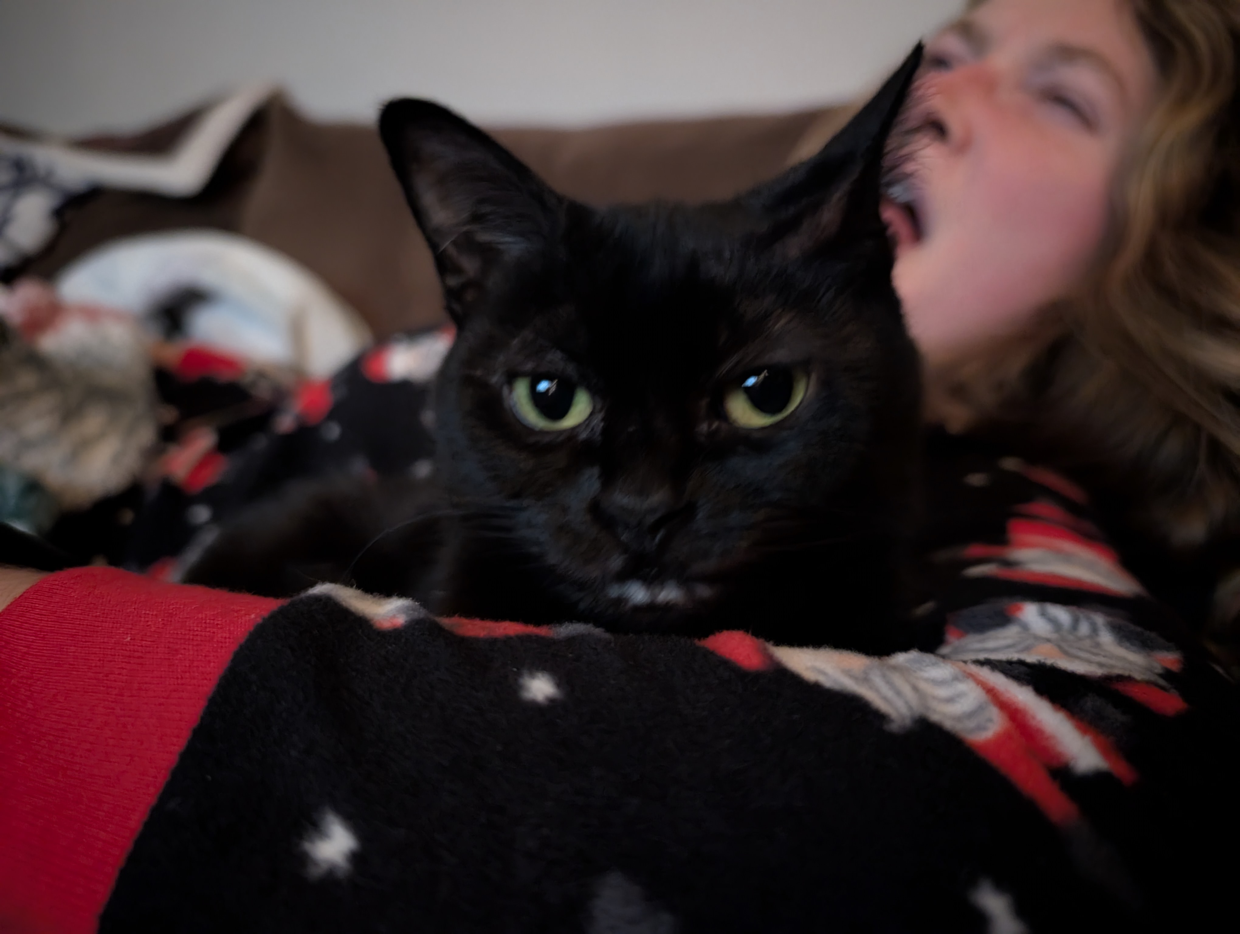 the sweetest pea who ever lived (with a cameo from the wife)